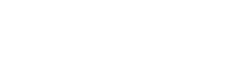 We specialize in public transport